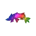 Rainbow Barraskewda
